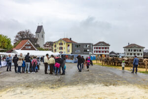 Appenzell, Appenzell Ausserrohden, Appenzeller Vorderland, Brauchtum, Landwirtschaft, Ostschweiz, Schweiz, Suisse, Switzerland, Viehschau, Wirtschaft, Wolfhalden