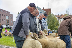 Appenzell, Appenzell Ausserrohden, Appenzeller Vorderland, Brauchtum, Landwirtschaft, Ostschweiz, Schweiz, Suisse, Switzerland, Viehschau, Wirtschaft, Wolfhalden