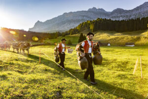 Alp, Alpabfahrt, Alpaufzug, Alpen, Alpfahrt, Alps, Appenzell, Appenzell Ausserrohden, Appenzeller Hinterland, Autumn, Brauchtum, Fall, Herbst, Hundwil, Landwirtschaft, Ostschweiz, Schweiz, Schwägalp, Sennen, Suisse, Switzerland, Tracht, Urnäsch, Wirtschaft, alps, tradition, Öberefahre