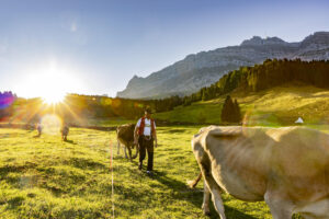 Alp, Alpabfahrt, Alpaufzug, Alpen, Alpfahrt, Alps, Appenzell, Appenzell Ausserrohden, Appenzeller Hinterland, Autumn, Brauchtum, Fall, Herbst, Hundwil, Landwirtschaft, Ostschweiz, Schweiz, Schwägalp, Sennen, Suisse, Switzerland, Tracht, Urnäsch, Wirtschaft, alps, tradition, Öberefahre