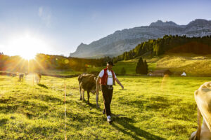 Alp, Alpabfahrt, Alpaufzug, Alpen, Alpfahrt, Alps, Appenzell, Appenzell Ausserrohden, Appenzeller Hinterland, Autumn, Brauchtum, Fall, Herbst, Hundwil, Landwirtschaft, Ostschweiz, Schweiz, Schwägalp, Sennen, Suisse, Switzerland, Tracht, Urnäsch, Wirtschaft, alps, tradition, Öberefahre