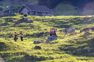 Alp, Alpabfahrt, Alpaufzug, Alpen, Alpfahrt, Alps, Appenzell, Appenzell Ausserrohden, Appenzeller Hinterland, Autumn, Brauchtum, Fall, Herbst, Hundwil, Landwirtschaft, Ostschweiz, Schweiz, Schwägalp, Sennen, Suisse, Switzerland, Tracht, Urnäsch, Wirtschaft, alps, tradition, Öberefahre