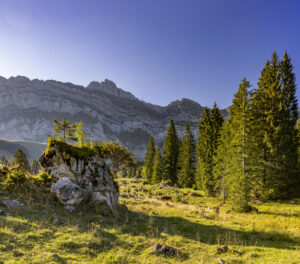 Alp, Alpabfahrt, Alpaufzug, Alpen, Alpfahrt, Alps, Appenzell, Appenzell Ausserrohden, Appenzeller Hinterland, Autumn, Brauchtum, Fall, Herbst, Hundwil, Landwirtschaft, Ostschweiz, Schweiz, Schwägalp, Sennen, Suisse, Switzerland, Tracht, Urnäsch, Wirtschaft, alps, tradition, Öberefahre