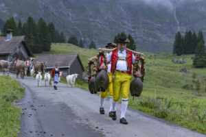 Alp, Alpabfahrt, Alpaufzug, Alpen, Alpfahrt, Alps, Appenzell, Appenzell Ausserrohden, Appenzeller Hinterland, Autumn, Brauchtum, Fall, Herbst, Hundwil, Landwirtschaft, Ostschweiz, Schweiz, Schwägalp, Sennen, Suisse, Switzerland, Tracht, Urnäsch, Wirtschaft, alps, tradition, Öberefahre