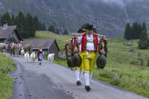 Alp, Alpabfahrt, Alpaufzug, Alpen, Alpfahrt, Alps, Appenzell, Appenzell Ausserrohden, Appenzeller Hinterland, Autumn, Brauchtum, Fall, Herbst, Hundwil, Landwirtschaft, Ostschweiz, Schweiz, Schwägalp, Sennen, Suisse, Switzerland, Tracht, Urnäsch, Wirtschaft, alps, tradition, Öberefahre