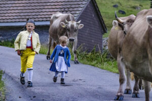 Alp, Alpabfahrt, Alpaufzug, Alpen, Alpfahrt, Alps, Appenzell, Appenzell Ausserrohden, Appenzeller Hinterland, Autumn, Brauchtum, Fall, Herbst, Hundwil, Landwirtschaft, Ostschweiz, Schweiz, Schwägalp, Sennen, Suisse, Switzerland, Tracht, Urnäsch, Wirtschaft, alps, tradition, Öberefahre