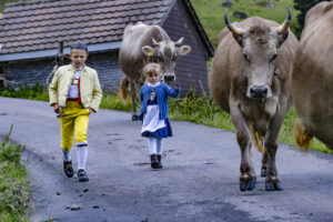 Alp, Alpabfahrt, Alpaufzug, Alpen, Alpfahrt, Alps, Appenzell, Appenzell Ausserrohden, Appenzeller Hinterland, Autumn, Brauchtum, Fall, Herbst, Hundwil, Landwirtschaft, Ostschweiz, Schweiz, Schwägalp, Sennen, Suisse, Switzerland, Tracht, Urnäsch, Wirtschaft, alps, tradition, Öberefahre