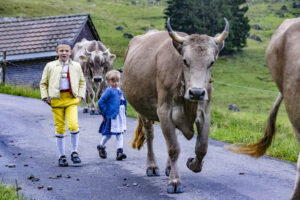 Alp, Alpabfahrt, Alpaufzug, Alpen, Alpfahrt, Alps, Appenzell, Appenzell Ausserrohden, Appenzeller Hinterland, Autumn, Brauchtum, Fall, Herbst, Hundwil, Landwirtschaft, Ostschweiz, Schweiz, Schwägalp, Sennen, Suisse, Switzerland, Tracht, Urnäsch, Wirtschaft, alps, tradition, Öberefahre