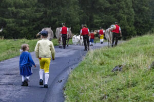Alp, Alpabfahrt, Alpaufzug, Alpen, Alpfahrt, Alps, Appenzell, Appenzell Ausserrohden, Appenzeller Hinterland, Autumn, Brauchtum, Fall, Herbst, Hundwil, Landwirtschaft, Ostschweiz, Schweiz, Schwägalp, Sennen, Suisse, Switzerland, Tracht, Urnäsch, Wirtschaft, alps, tradition, Öberefahre