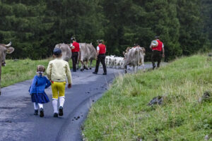 Alp, Alpabfahrt, Alpaufzug, Alpen, Alpfahrt, Alps, Appenzell, Appenzell Ausserrohden, Appenzeller Hinterland, Autumn, Brauchtum, Fall, Herbst, Hundwil, Landwirtschaft, Ostschweiz, Schweiz, Schwägalp, Sennen, Suisse, Switzerland, Tracht, Urnäsch, Wirtschaft, alps, tradition, Öberefahre