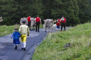 Alp, Alpabfahrt, Alpaufzug, Alpen, Alpfahrt, Alps, Appenzell, Appenzell Ausserrohden, Appenzeller Hinterland, Autumn, Brauchtum, Fall, Herbst, Hundwil, Landwirtschaft, Ostschweiz, Schweiz, Schwägalp, Sennen, Suisse, Switzerland, Tracht, Urnäsch, Wirtschaft, alps, tradition, Öberefahre