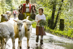 Alp, Alpabfahrt, Alpaufzug, Alpen, Alpfahrt, Alps, Appenzell, Appenzell Ausserrohden, Appenzeller Hinterland, Autumn, Brauchtum, Fall, Herbst, Hundwil, Landwirtschaft, Ostschweiz, Schweiz, Schwägalp, Sennen, Suisse, Switzerland, Tracht, Urnäsch, Wirtschaft, alps, tradition, Öberefahre