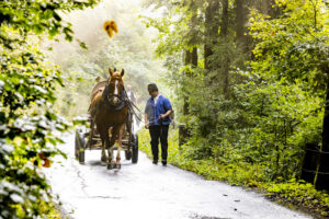 Alp, Alpabfahrt, Alpaufzug, Alpen, Alpfahrt, Alps, Appenzell, Appenzell Ausserrohden, Appenzeller Hinterland, Autumn, Brauchtum, Fall, Herbst, Hundwil, Landwirtschaft, Ostschweiz, Schweiz, Schwägalp, Sennen, Suisse, Switzerland, Tracht, Urnäsch, Wirtschaft, alps, tradition, Öberefahre