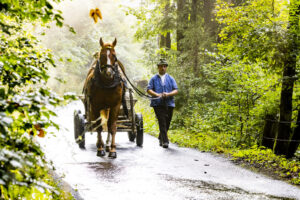 Alp, Alpabfahrt, Alpaufzug, Alpen, Alpfahrt, Alps, Appenzell, Appenzell Ausserrohden, Appenzeller Hinterland, Autumn, Brauchtum, Fall, Herbst, Hundwil, Landwirtschaft, Ostschweiz, Schweiz, Schwägalp, Sennen, Suisse, Switzerland, Tracht, Urnäsch, Wirtschaft, alps, tradition, Öberefahre