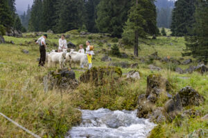 Alp, Alpabfahrt, Alpaufzug, Alpen, Alpfahrt, Alps, Appenzell, Appenzell Ausserrohden, Appenzeller Hinterland, Autumn, Brauchtum, Fall, Herbst, Hundwil, Landwirtschaft, Ostschweiz, Schweiz, Schwägalp, Sennen, Suisse, Switzerland, Tracht, Urnäsch, Wirtschaft, alps, tradition, Öberefahre