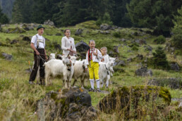 Alp, Alpabfahrt, Alpaufzug, Alpen, Alpfahrt, Alps, Appenzell, Appenzell Ausserrohden, Appenzeller Hinterland, Autumn, Brauchtum, Fall, Herbst, Hundwil, Landwirtschaft, Ostschweiz, Schweiz, Schwägalp, Sennen, Suisse, Switzerland, Tracht, Urnäsch, Wirtschaft, alps, tradition, Öberefahre