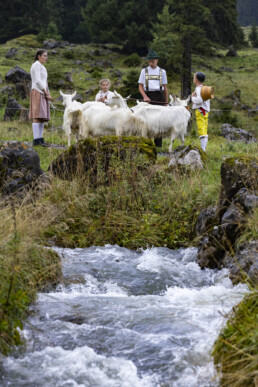 Alp, Alpabfahrt, Alpaufzug, Alpen, Alpfahrt, Alps, Appenzell, Appenzell Ausserrohden, Appenzeller Hinterland, Autumn, Brauchtum, Fall, Herbst, Hundwil, Landwirtschaft, Ostschweiz, Schweiz, Schwägalp, Sennen, Suisse, Switzerland, Tracht, Urnäsch, Wirtschaft, alps, tradition, Öberefahre