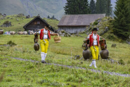 Alp, Alpabfahrt, Alpaufzug, Alpen, Alpfahrt, Alps, Appenzell, Appenzell Ausserrohden, Appenzeller Hinterland, Autumn, Brauchtum, Fall, Herbst, Hundwil, Landwirtschaft, Ostschweiz, Schweiz, Schwägalp, Sennen, Suisse, Switzerland, Tracht, Urnäsch, Wirtschaft, alps, tradition, Öberefahre