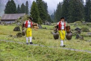 Alp, Alpabfahrt, Alpaufzug, Alpen, Alpfahrt, Alps, Appenzell, Appenzell Ausserrohden, Appenzeller Hinterland, Autumn, Brauchtum, Fall, Herbst, Hundwil, Landwirtschaft, Ostschweiz, Schweiz, Schwägalp, Sennen, Suisse, Switzerland, Tracht, Urnäsch, Wirtschaft, alps, tradition, Öberefahre