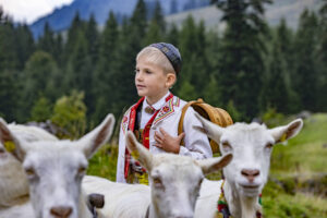 Alp, Alpabfahrt, Alpaufzug, Alpen, Alpfahrt, Alps, Appenzell, Appenzell Ausserrohden, Appenzeller Hinterland, Autumn, Brauchtum, Fall, Herbst, Hundwil, Landwirtschaft, Ostschweiz, Schweiz, Schwägalp, Sennen, Suisse, Switzerland, Tracht, Urnäsch, Wirtschaft, alps, tradition, Öberefahre