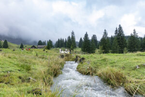 Alp, Alpabfahrt, Alpaufzug, Alpen, Alpfahrt, Alps, Appenzell, Appenzell Ausserrohden, Appenzeller Hinterland, Autumn, Brauchtum, Fall, Herbst, Hundwil, Landwirtschaft, Ostschweiz, Schweiz, Schwägalp, Sennen, Suisse, Switzerland, Tracht, Urnäsch, Wirtschaft, alps, tradition, Öberefahre