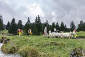 Alp, Alpabfahrt, Alpaufzug, Alpen, Alpfahrt, Alps, Appenzell, Appenzell Ausserrohden, Appenzeller Hinterland, Autumn, Brauchtum, Fall, Herbst, Hundwil, Landwirtschaft, Ostschweiz, Schweiz, Schwägalp, Sennen, Suisse, Switzerland, Tracht, Urnäsch, Wirtschaft, alps, tradition, Öberefahre