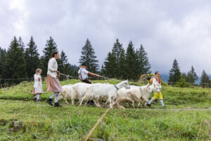 Alp, Alpabfahrt, Alpaufzug, Alpen, Alpfahrt, Alps, Appenzell, Appenzell Ausserrohden, Appenzeller Hinterland, Autumn, Brauchtum, Fall, Herbst, Hundwil, Landwirtschaft, Ostschweiz, Schweiz, Schwägalp, Sennen, Suisse, Switzerland, Tracht, Urnäsch, Wirtschaft, alps, tradition, Öberefahre