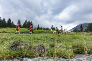 Alp, Alpabfahrt, Alpaufzug, Alpen, Alpfahrt, Alps, Appenzell, Appenzell Ausserrohden, Appenzeller Hinterland, Autumn, Brauchtum, Fall, Herbst, Hundwil, Landwirtschaft, Ostschweiz, Schweiz, Schwägalp, Sennen, Suisse, Switzerland, Tracht, Urnäsch, Wirtschaft, alps, tradition, Öberefahre