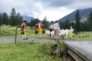 Alp, Alpabfahrt, Alpaufzug, Alpen, Alpfahrt, Alps, Appenzell, Appenzell Ausserrohden, Appenzeller Hinterland, Autumn, Brauchtum, Fall, Herbst, Hundwil, Landwirtschaft, Ostschweiz, Schweiz, Schwägalp, Sennen, Suisse, Switzerland, Tracht, Urnäsch, Wirtschaft, alps, tradition, Öberefahre