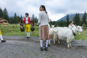 Alp, Alpabfahrt, Alpaufzug, Alpen, Alpfahrt, Alps, Appenzell, Appenzell Ausserrohden, Appenzeller Hinterland, Autumn, Brauchtum, Fall, Herbst, Hundwil, Landwirtschaft, Ostschweiz, Schweiz, Schwägalp, Sennen, Suisse, Switzerland, Tracht, Urnäsch, Wirtschaft, alps, tradition, Öberefahre