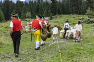 Alp, Alpabfahrt, Alpaufzug, Alpen, Alpfahrt, Alps, Appenzell, Appenzell Ausserrohden, Appenzeller Hinterland, Autumn, Brauchtum, Fall, Herbst, Hundwil, Landwirtschaft, Ostschweiz, Schweiz, Schwägalp, Sennen, Suisse, Switzerland, Tracht, Urnäsch, Wirtschaft, alps, tradition, Öberefahre