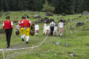 Alp, Alpabfahrt, Alpaufzug, Alpen, Alpfahrt, Alps, Appenzell, Appenzell Ausserrohden, Appenzeller Hinterland, Autumn, Brauchtum, Fall, Herbst, Hundwil, Landwirtschaft, Ostschweiz, Schweiz, Schwägalp, Sennen, Suisse, Switzerland, Tracht, Urnäsch, Wirtschaft, alps, tradition, Öberefahre