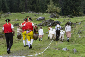Alp, Alpabfahrt, Alpaufzug, Alpen, Alpfahrt, Alps, Appenzell, Appenzell Ausserrohden, Appenzeller Hinterland, Autumn, Brauchtum, Fall, Herbst, Hundwil, Landwirtschaft, Ostschweiz, Schweiz, Schwägalp, Sennen, Suisse, Switzerland, Tracht, Urnäsch, Wirtschaft, alps, tradition, Öberefahre