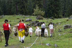 Alp, Alpabfahrt, Alpaufzug, Alpen, Alpfahrt, Alps, Appenzell, Appenzell Ausserrohden, Appenzeller Hinterland, Autumn, Brauchtum, Fall, Herbst, Hundwil, Landwirtschaft, Ostschweiz, Schweiz, Schwägalp, Sennen, Suisse, Switzerland, Tracht, Urnäsch, Wirtschaft, alps, tradition, Öberefahre