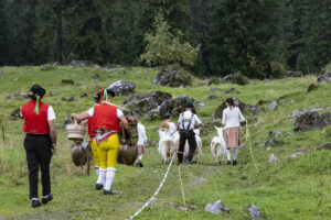 Alp, Alpabfahrt, Alpaufzug, Alpen, Alpfahrt, Alps, Appenzell, Appenzell Ausserrohden, Appenzeller Hinterland, Autumn, Brauchtum, Fall, Herbst, Hundwil, Landwirtschaft, Ostschweiz, Schweiz, Schwägalp, Sennen, Suisse, Switzerland, Tracht, Urnäsch, Wirtschaft, alps, tradition, Öberefahre