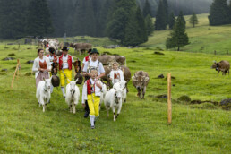 Alp, Alpabfahrt, Alpaufzug, Alpen, Alpfahrt, Alps, Appenzell, Appenzell Ausserrohden, Appenzeller Hinterland, Autumn, Brauchtum, Fall, Herbst, Hundwil, Landwirtschaft, Ostschweiz, Schweiz, Schwägalp, Sennen, Suisse, Switzerland, Tracht, Urnäsch, Wirtschaft, alps, tradition, Öberefahre