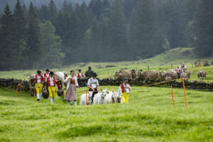 Alp, Alpabfahrt, Alpaufzug, Alpen, Alpfahrt, Alps, Appenzell, Appenzell Ausserrohden, Appenzeller Hinterland, Autumn, Brauchtum, Fall, Herbst, Hundwil, Landwirtschaft, Ostschweiz, Schweiz, Schwägalp, Sennen, Suisse, Switzerland, Tracht, Urnäsch, Wirtschaft, alps, tradition, Öberefahre