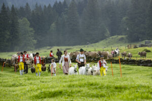 Alp, Alpabfahrt, Alpaufzug, Alpen, Alpfahrt, Alps, Appenzell, Appenzell Ausserrohden, Appenzeller Hinterland, Autumn, Brauchtum, Fall, Herbst, Hundwil, Landwirtschaft, Ostschweiz, Schweiz, Schwägalp, Sennen, Suisse, Switzerland, Tracht, Urnäsch, Wirtschaft, alps, tradition, Öberefahre