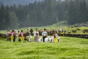 Alp, Alpabfahrt, Alpaufzug, Alpen, Alpfahrt, Alps, Appenzell, Appenzell Ausserrohden, Appenzeller Hinterland, Autumn, Brauchtum, Fall, Herbst, Hundwil, Landwirtschaft, Ostschweiz, Schweiz, Schwägalp, Sennen, Suisse, Switzerland, Tracht, Urnäsch, Wirtschaft, alps, tradition, Öberefahre