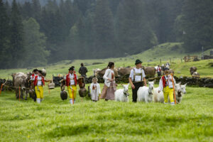 Alp, Alpabfahrt, Alpaufzug, Alpen, Alpfahrt, Alps, Appenzell, Appenzell Ausserrohden, Appenzeller Hinterland, Autumn, Brauchtum, Fall, Herbst, Hundwil, Landwirtschaft, Ostschweiz, Schweiz, Schwägalp, Sennen, Suisse, Switzerland, Tracht, Urnäsch, Wirtschaft, alps, tradition, Öberefahre