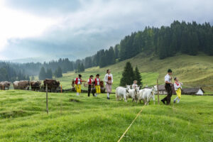 Alp, Alpabfahrt, Alpaufzug, Alpen, Alpfahrt, Alps, Appenzell, Appenzell Ausserrohden, Appenzeller Hinterland, Autumn, Brauchtum, Fall, Herbst, Hundwil, Landwirtschaft, Ostschweiz, Schweiz, Schwägalp, Sennen, Suisse, Switzerland, Tracht, Urnäsch, Wirtschaft, alps, tradition, Öberefahre