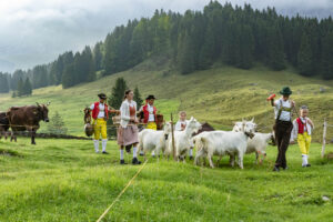 Alp, Alpabfahrt, Alpaufzug, Alpen, Alpfahrt, Alps, Appenzell, Appenzell Ausserrohden, Appenzeller Hinterland, Autumn, Brauchtum, Fall, Herbst, Hundwil, Landwirtschaft, Ostschweiz, Schweiz, Schwägalp, Sennen, Suisse, Switzerland, Tracht, Urnäsch, Wirtschaft, alps, tradition, Öberefahre