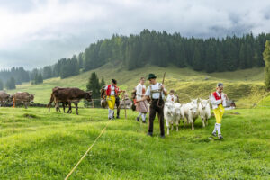 Alp, Alpabfahrt, Alpaufzug, Alpen, Alpfahrt, Alps, Appenzell, Appenzell Ausserrohden, Appenzeller Hinterland, Autumn, Brauchtum, Fall, Herbst, Hundwil, Landwirtschaft, Ostschweiz, Schweiz, Schwägalp, Sennen, Suisse, Switzerland, Tracht, Urnäsch, Wirtschaft, alps, tradition, Öberefahre