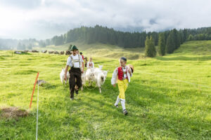 Alp, Alpabfahrt, Alpaufzug, Alpen, Alpfahrt, Alps, Appenzell, Appenzell Ausserrohden, Appenzeller Hinterland, Autumn, Brauchtum, Fall, Herbst, Hundwil, Landwirtschaft, Ostschweiz, Schweiz, Schwägalp, Sennen, Suisse, Switzerland, Tracht, Urnäsch, Wirtschaft, alps, tradition, Öberefahre