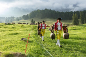 Alp, Alpabfahrt, Alpaufzug, Alpen, Alpfahrt, Alps, Appenzell, Appenzell Ausserrohden, Appenzeller Hinterland, Autumn, Brauchtum, Fall, Herbst, Hundwil, Landwirtschaft, Ostschweiz, Schweiz, Schwägalp, Sennen, Suisse, Switzerland, Tracht, Urnäsch, Wirtschaft, alps, tradition, Öberefahre