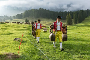 Alp, Alpabfahrt, Alpaufzug, Alpen, Alpfahrt, Alps, Appenzell, Appenzell Ausserrohden, Appenzeller Hinterland, Autumn, Brauchtum, Fall, Herbst, Hundwil, Landwirtschaft, Ostschweiz, Schweiz, Schwägalp, Sennen, Suisse, Switzerland, Tracht, Urnäsch, Wirtschaft, alps, tradition, Öberefahre