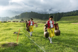 Alp, Alpabfahrt, Alpaufzug, Alpen, Alpfahrt, Alps, Appenzell, Appenzell Ausserrohden, Appenzeller Hinterland, Autumn, Brauchtum, Fall, Herbst, Hundwil, Landwirtschaft, Ostschweiz, Schweiz, Schwägalp, Sennen, Suisse, Switzerland, Tracht, Urnäsch, Wirtschaft, alps, tradition, Öberefahre