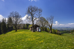 Appenzell, Appenzell Ausserrohden, Blumenwiese, Bühler, Frühling, Ostschweiz, Schweiz, Spring, Suisse, Switzerland, Wiese, spring