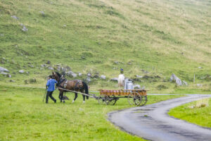 Alpabfahrt, Alpen, Alpfahrt, Alps, Appenzell Ausserrohden, Autumn, Brauchtum, Fall, Herbst, Hundwil, Ostschweiz, Schweiz, Schwägalp, Sennen, Suisse, Switzerland, Tracht, Urnäsch, tradition, Öberefahre