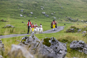 Alpabfahrt, Alpen, Alpfahrt, Alps, Appenzell Ausserrohden, Autumn, Brauchtum, Fall, Herbst, Hundwil, Ostschweiz, Schweiz, Schwägalp, Sennen, Suisse, Switzerland, Tracht, Urnäsch, tradition, Öberefahre